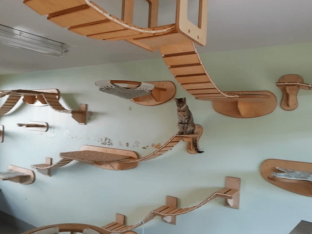 Bir Kedi Rüyası : Kedi Parkuru Tasarımı