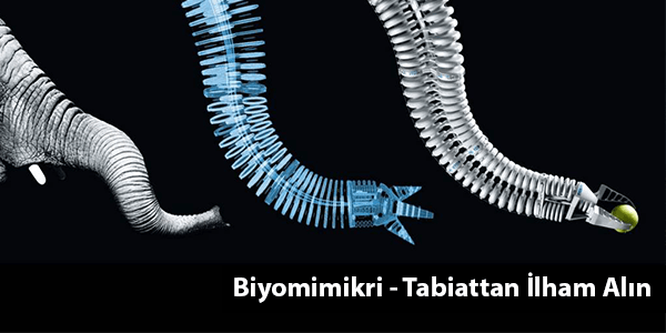 Biyomimikri – Tabiatın Mükemmelliklerinden İlham Alın